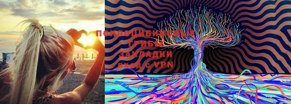 дмт Алексин