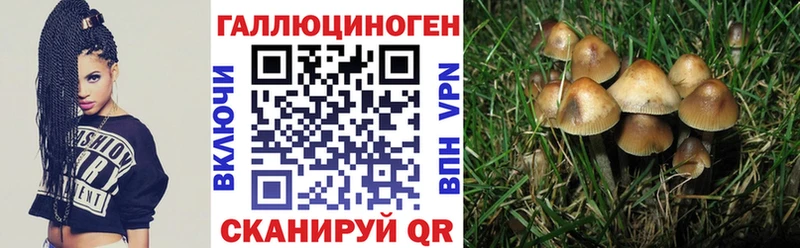Псилоцибиновые грибы Cubensis  купить наркоту  Чапаевск 