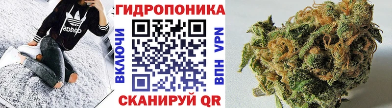 Шишки марихуана White Widow  Чапаевск 